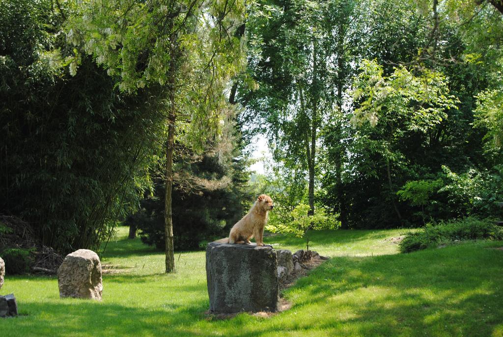 Villa Hedi Panzio Dunakiliti Exterior foto