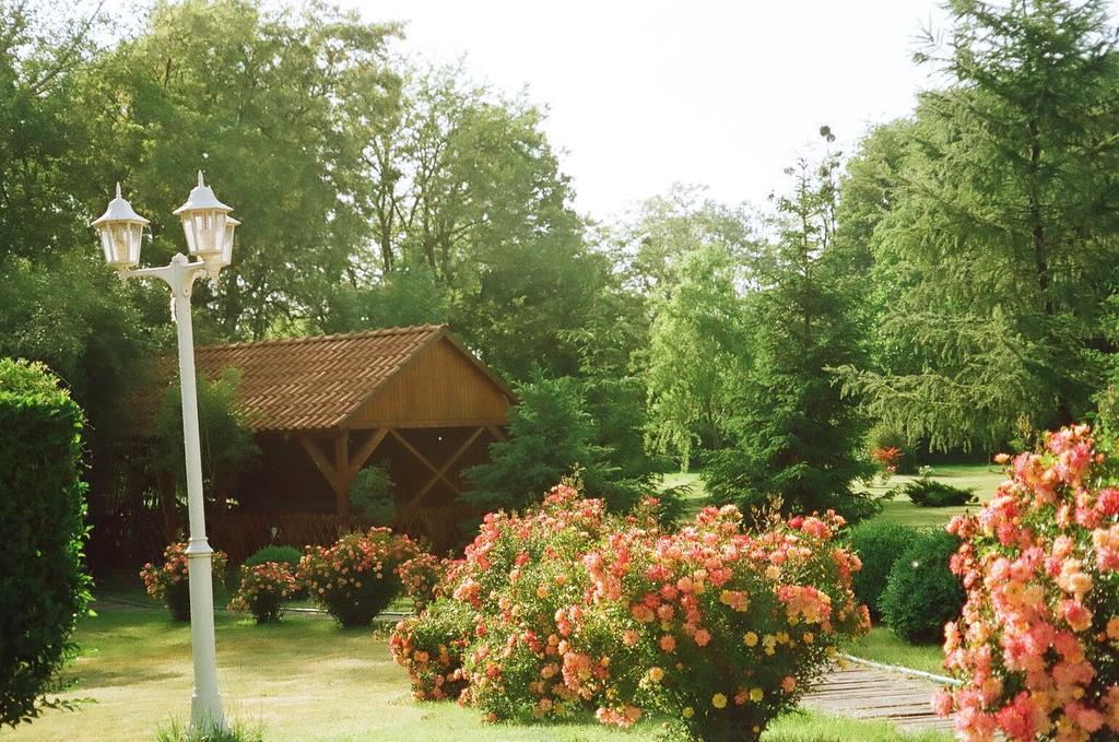Villa Hedi Dunakiliti Exterior foto