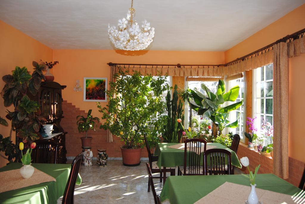 Villa Hedi Dunakiliti Exterior foto