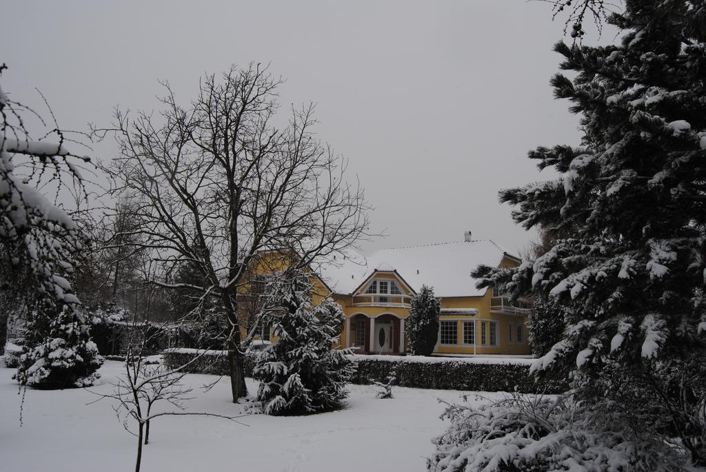 Villa Hedi Panzio Dunakiliti Exterior foto