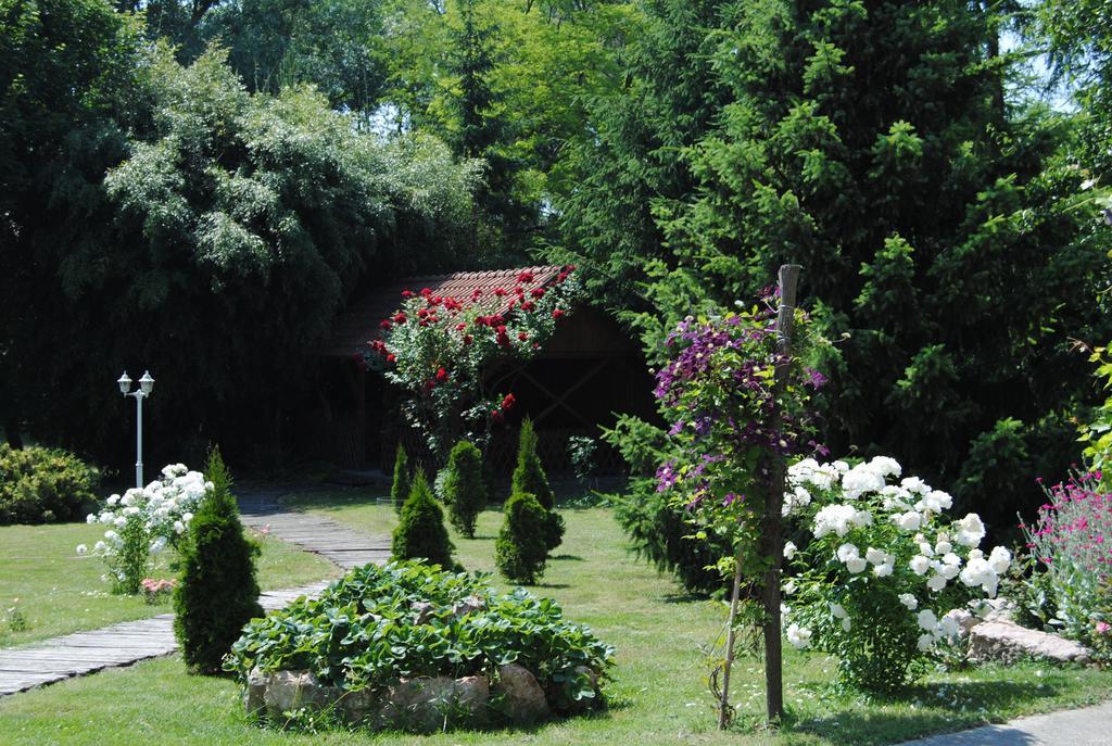 Villa Hedi Panzio Dunakiliti Exterior foto