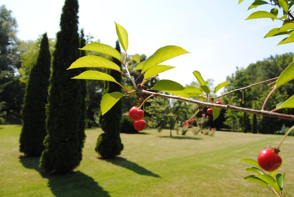 Villa Hedi Panzio Dunakiliti Exterior foto