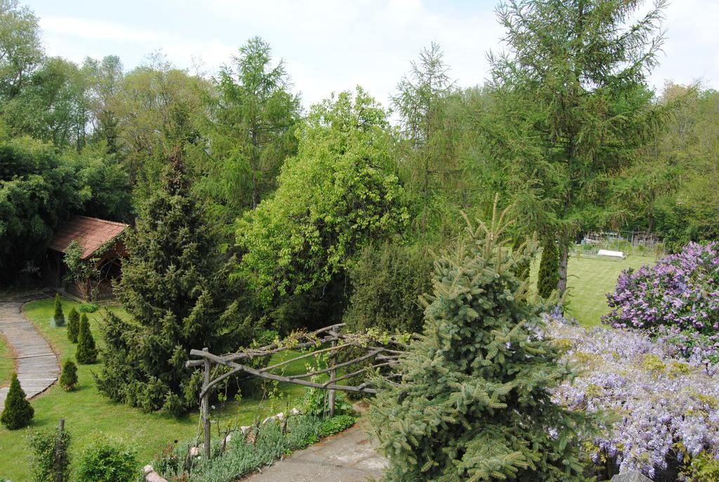 Villa Hedi Dunakiliti Exterior foto